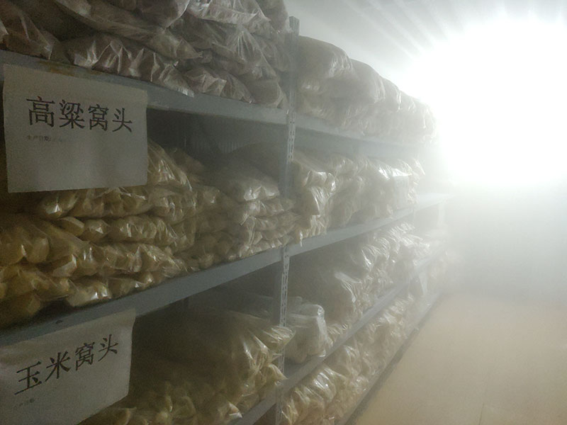 廠房廠貌